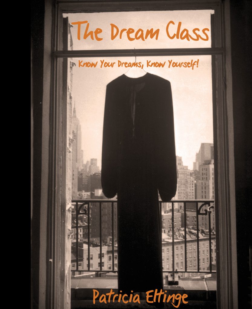 The Dream Class by Patricia Eltinge